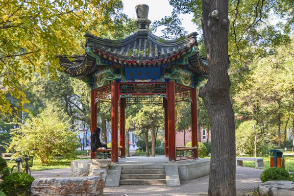 BFU - BAIK ~ Study to China